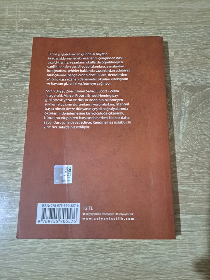 Salah Birsel - Kurutulmuş Felsefe Bahçesi - Görsel 2