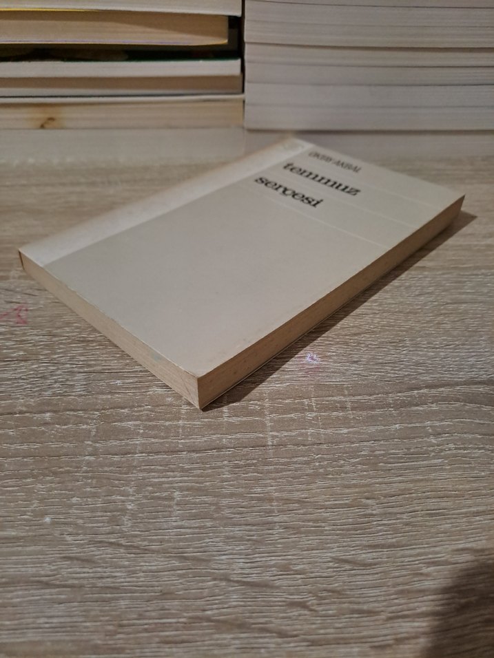 Oktay Akbal - Temmuz Serçesi Kitap - Görsel 3