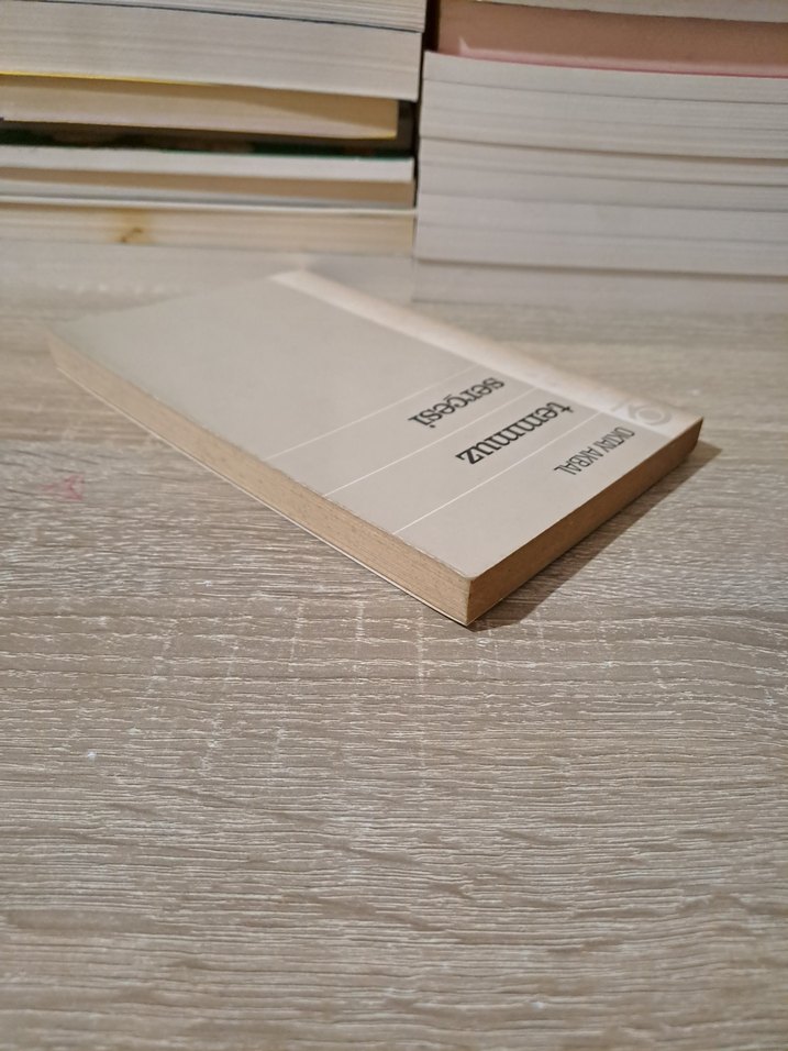 Oktay Akbal - Temmuz Serçesi Kitap - Görsel 4