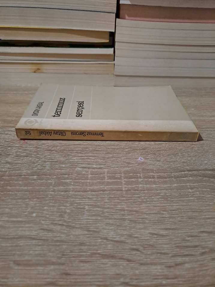 Oktay Akbal - Temmuz Serçesi Kitap - Görsel 5