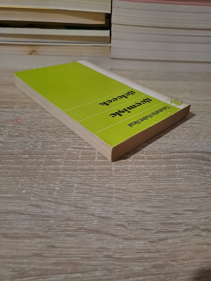 Sabahattin Kudret Aksal - Geçmişle Gelecek - Görsel 4