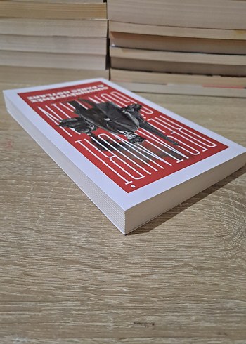 Cumhuriyetimiz & Paris Notları - Resat Nuri Güntekin - Görsel 4