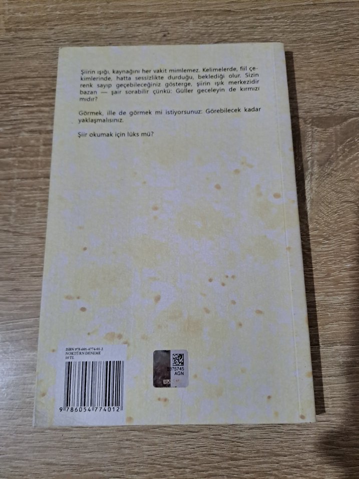 Işık - Enis Batur Kitabı - Görsel 2