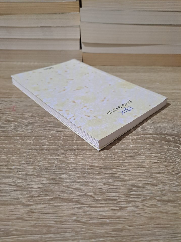 Işık - Enis Batur Kitabı - Görsel 4