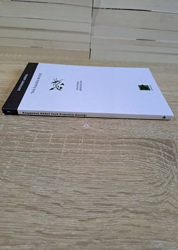 Kaygusuz Abdal - Terk Etmedim Benliği - Görsel 4