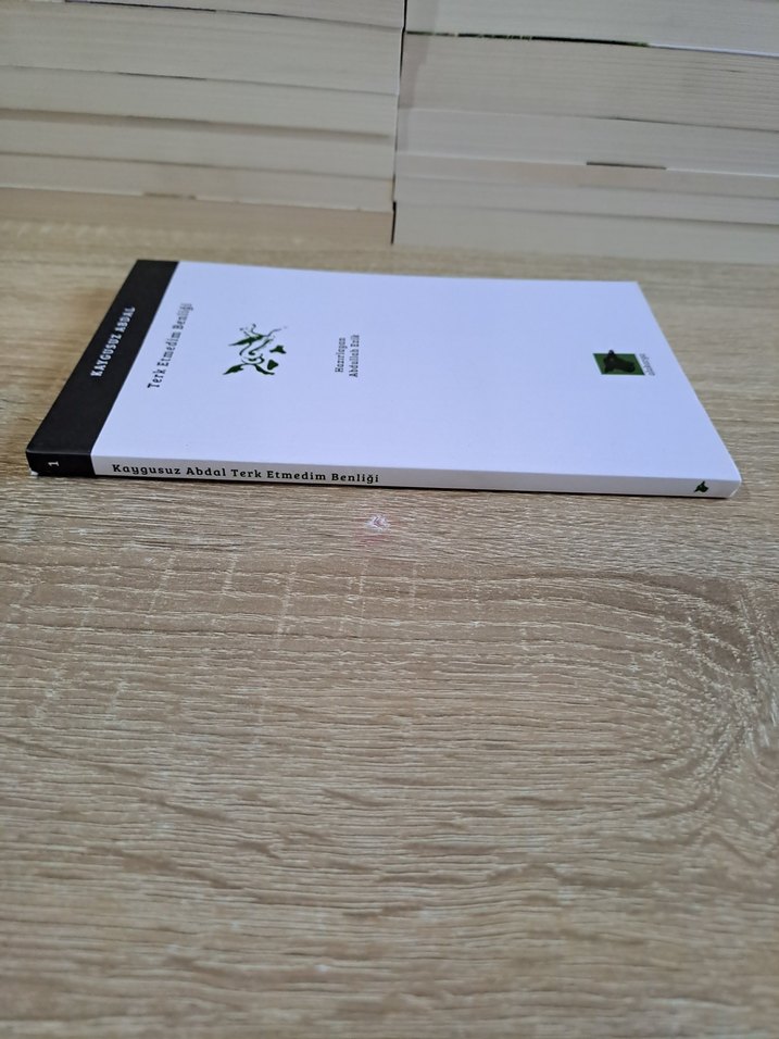 Kaygusuz Abdal - Terk Etmedim Benliği - Görsel 4