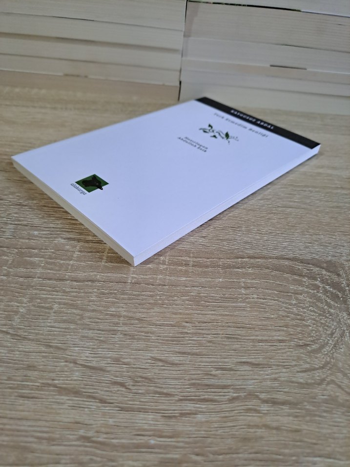 Kaygusuz Abdal - Terk Etmedim Benliği - Görsel 3