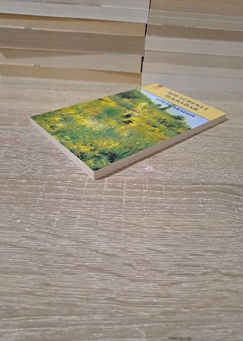 Bir Sürekli İlkbahar - Louis Aragon - Görsel 3