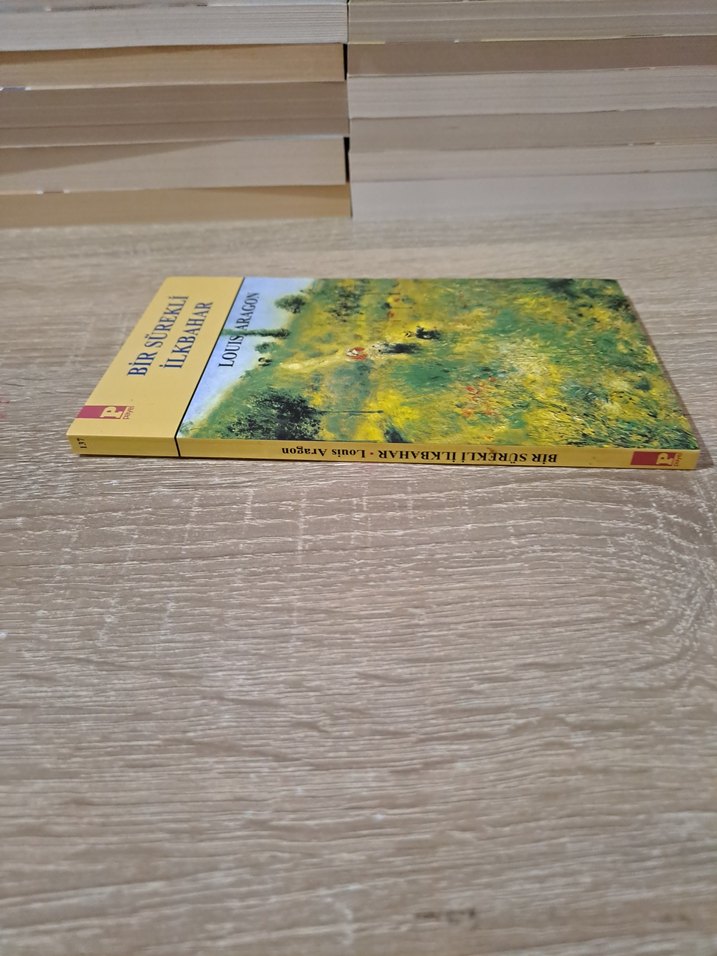 Bir Sürekli İlkbahar - Louis Aragon - Görsel 5