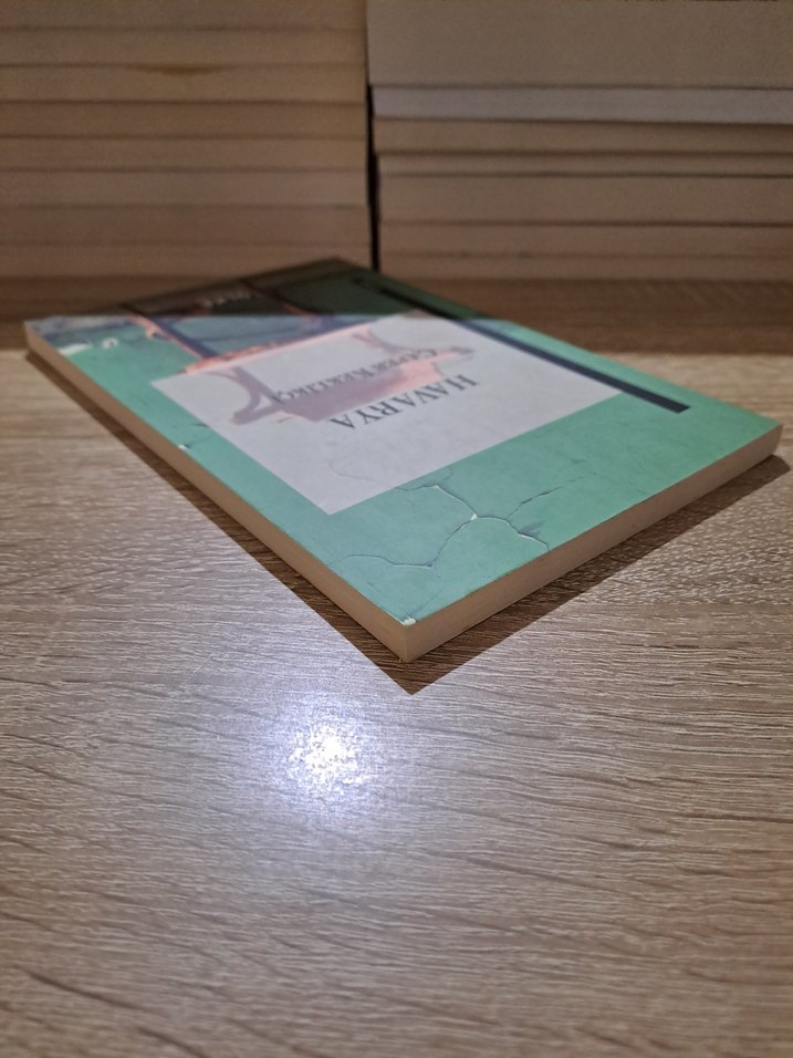 Havarya - Cafer Keklikçi - Görsel 4