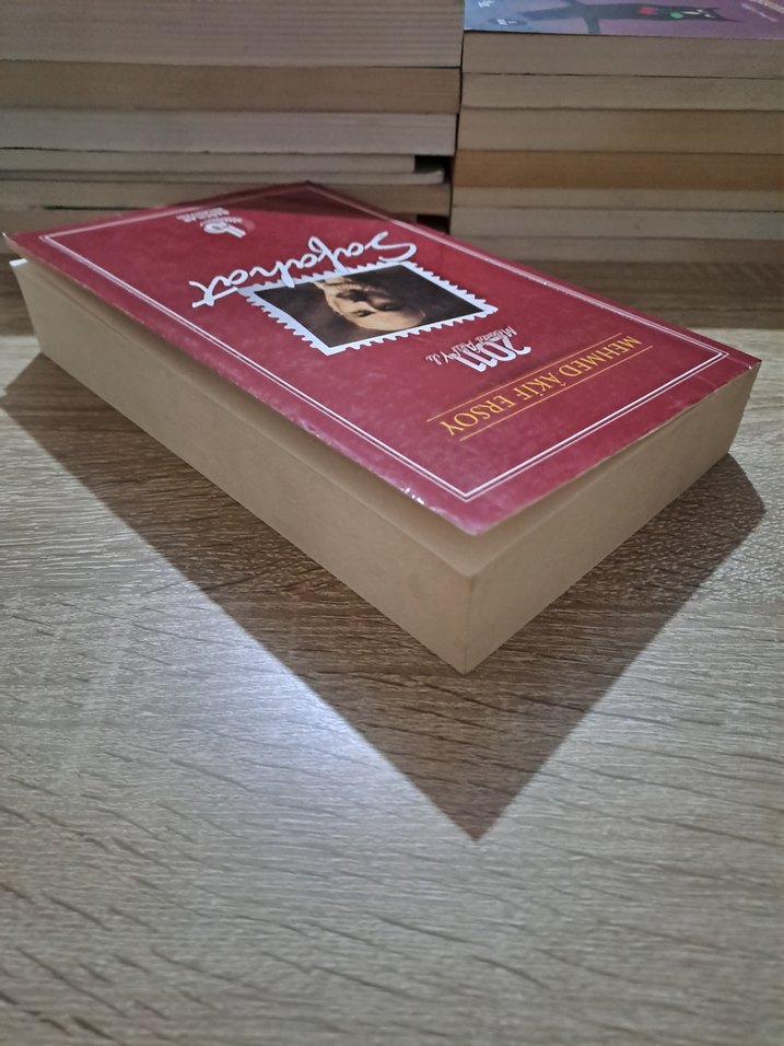 Safahat - Mehmed Akif Ersoy - Görsel 4