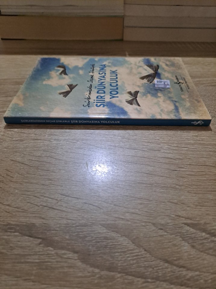 Edebiyatımızdan Seçme Şiirlerle Şiir Dünyasına Yolculuk - Görsel 5