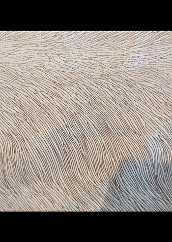 Zebra Desenli koltuk örtüsü - Görsel 5