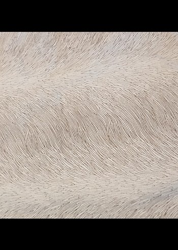 Zebra Desenli koltuk örtüsü - Görsel 6