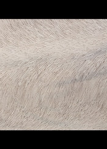 Zebra Desenli koltuk örtüsü - Görsel 9