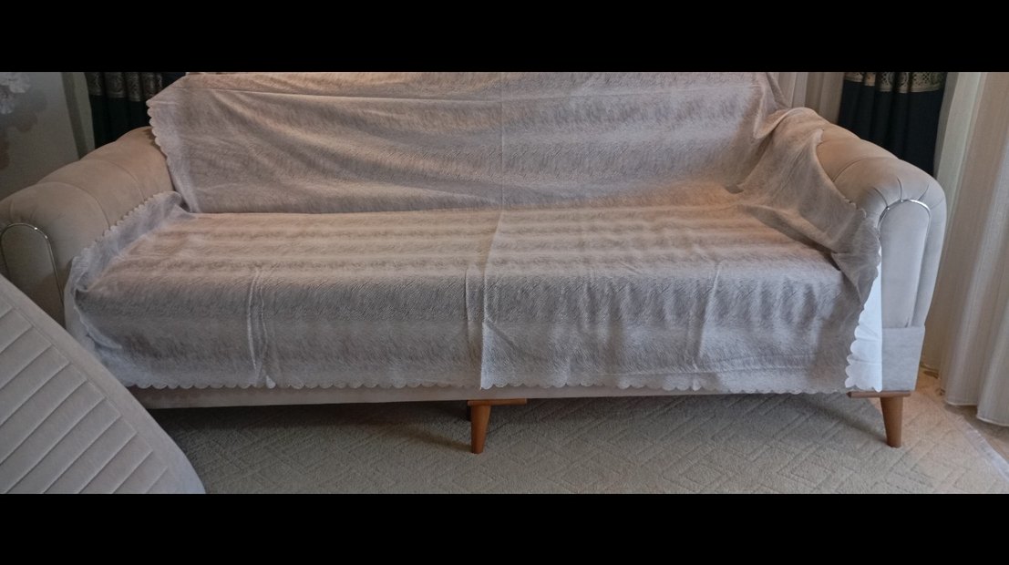 Zebra Desenli koltuk örtüsü - Görsel 2