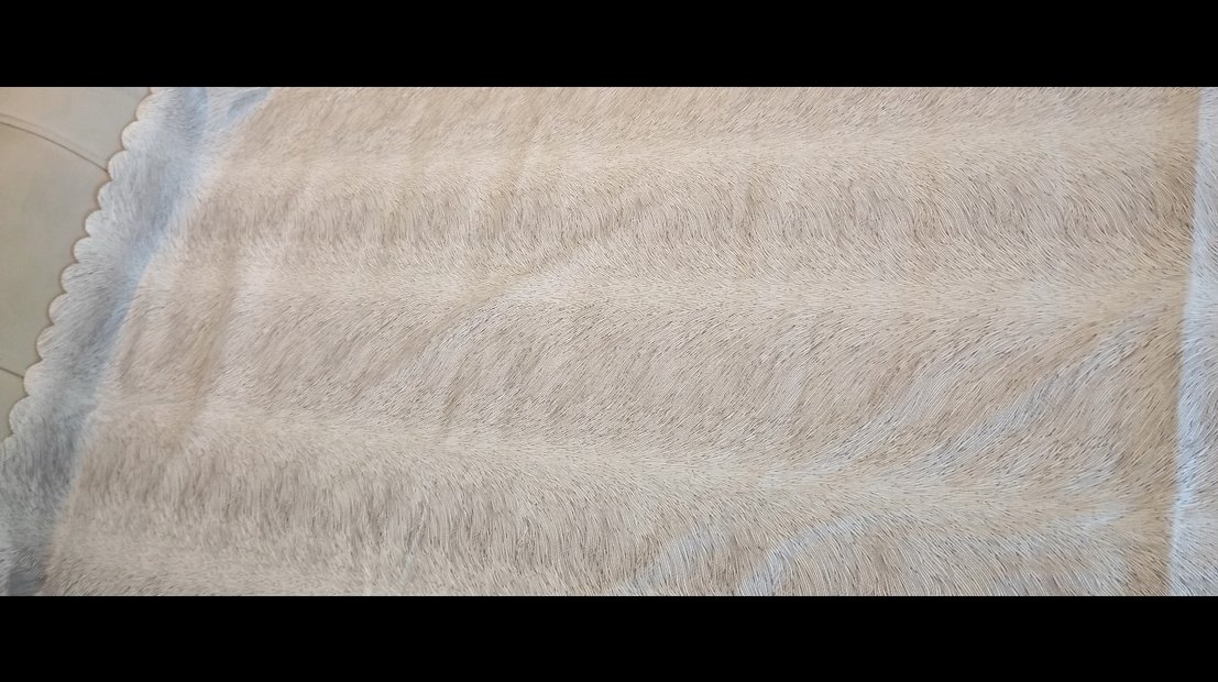 Zebra Desenli koltuk örtüsü - Görsel 3