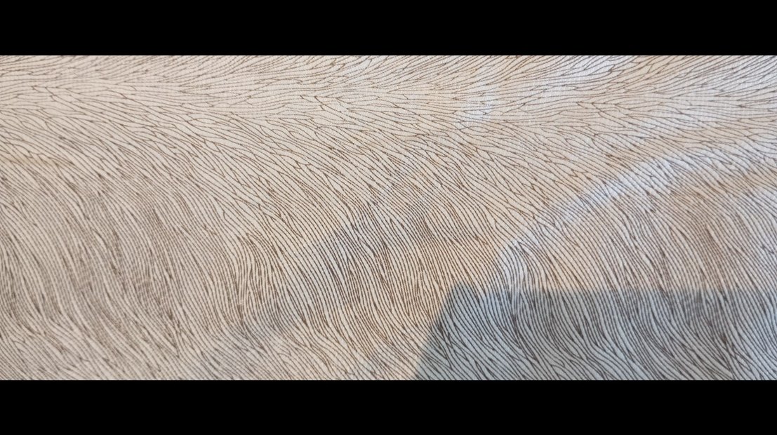 Zebra Desenli koltuk örtüsü - Görsel 5