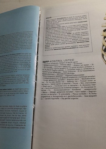  Beden Sobotta İnsan Anatomisi Atlası