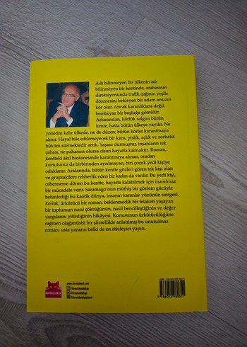 Körlük - José Saramago - Görsel 2