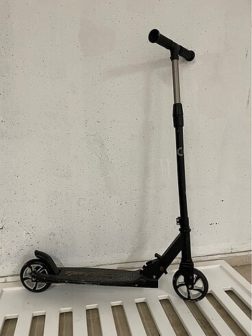 Scoter