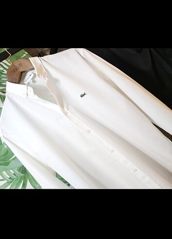 YENİ..????LACOSTE..GÖMLEK????...ÖZEL ÜRÜN..