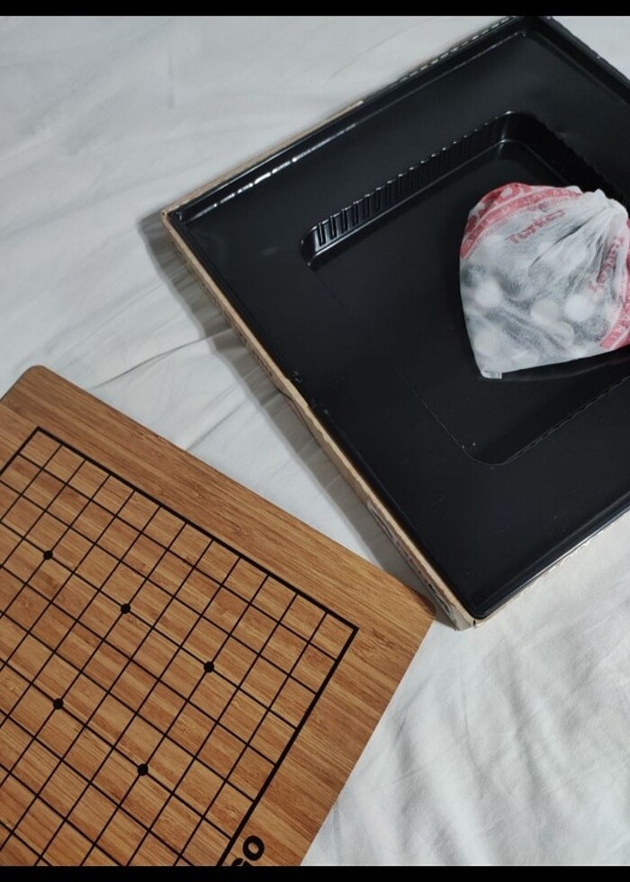 GO Zeka Oyunu - Görsel 2