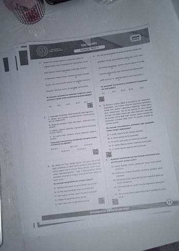 MEB'in yks25 için çıkmış ve çıkabilecek soruları paylaştığı pdf