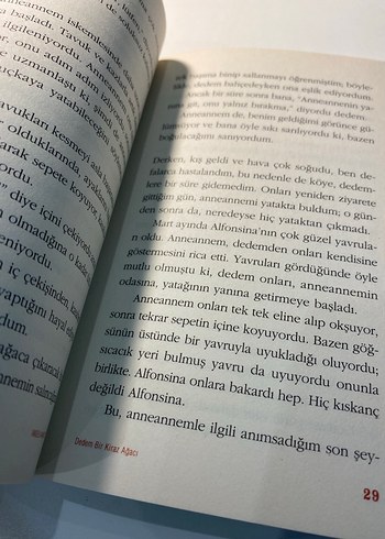  Beden Renk Dedem Bir Kiraz Ağacı - Angela Nanetti