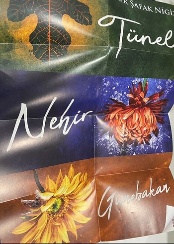 Binnur Şafak Niğiz Üçlü Roman Seti - Görsel 7
