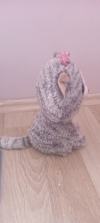 Diğer Oycak kedi