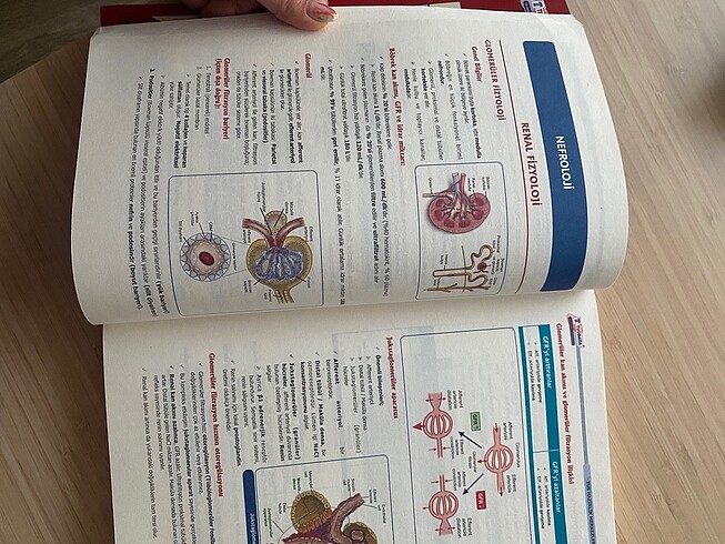 Beden Renk Dahiliye Tusdata kamp kitabı