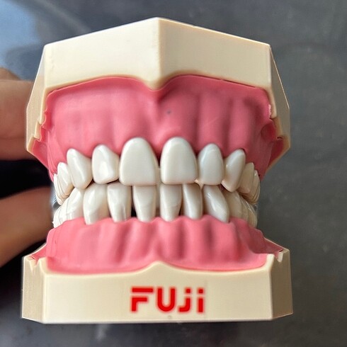 Fuji etli çene