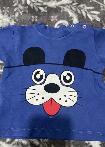 Renkli Baskılı Sokak Stili Kedi Kıyafetleri - Görsel 4