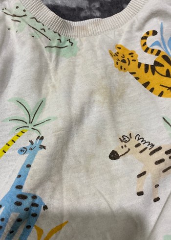 Renkli Baskılı Sokak Stili Kedi Kıyafetleri - Görsel 3