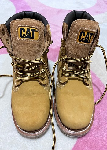 Cat 40