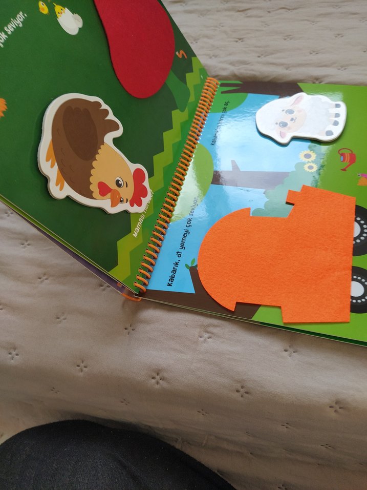 İlk cirtcirtli keçeli etkinlik kitabı - Görsel 5