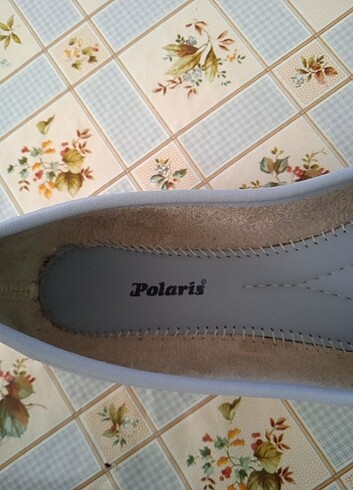 Polaris Polaris babet