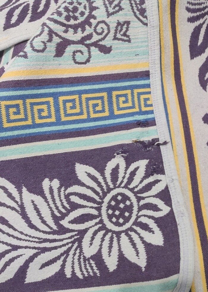 Halı Örtüsü (Savan) - Görsel 2