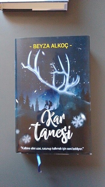  Beden Kar küresi ve kar tanesi kitap seti
