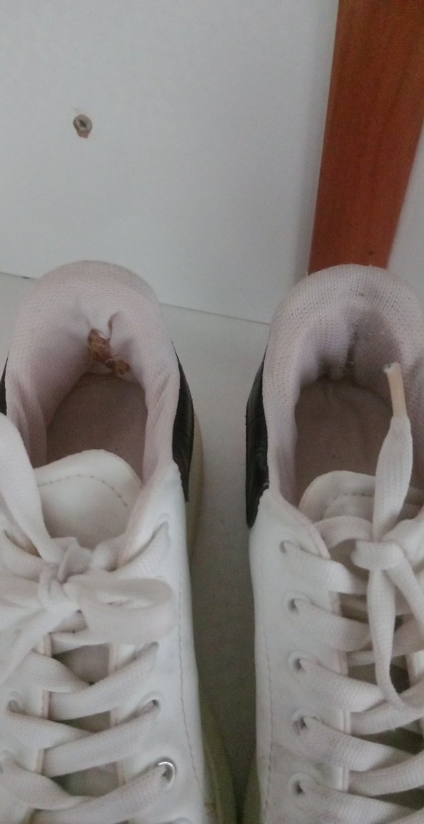 Beyaz Minimalist Kadın Spor Ayakkabı - Görsel 5