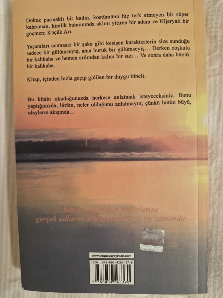 Küçük Arı - Chris Cleave - Görsel 2