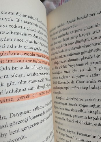 Kitap Kurtları - Emily Henry - Görsel 2