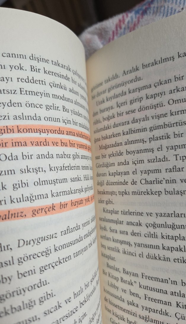 Kitap Kurtları - Emily Henry - Görsel 2