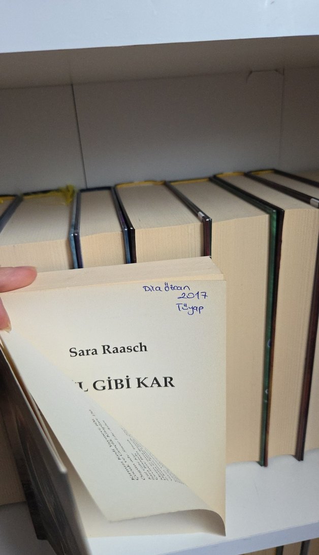 Kül Gibi Kar - Sara Raasch - Görsel 2