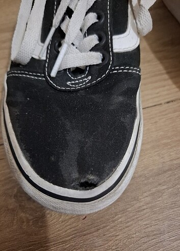 37 Beden Vans