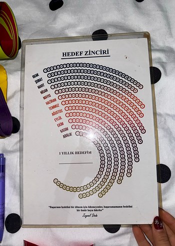 Renkli Okul Aktivite Malzemeleri Seti - Görsel 3