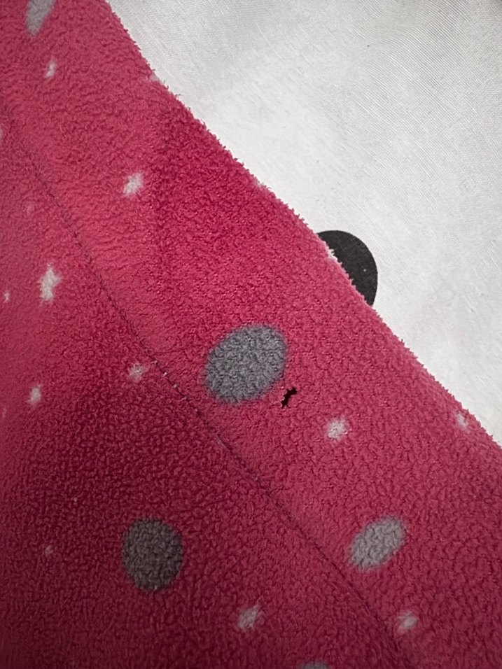 Kız Çocuk Pembe Düğmeli Polar Pijama Takımı - Görsel 4