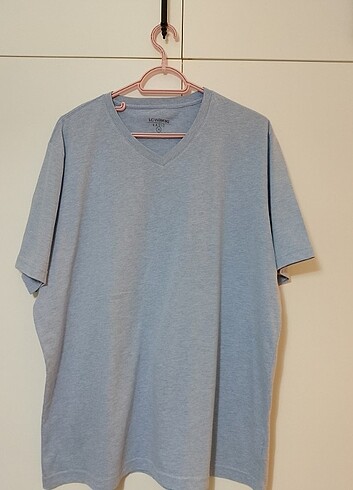 LC Waikiki LCW 2 adet. Erkek tisortu