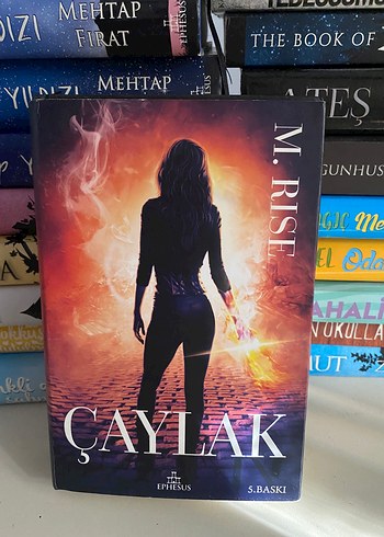 Çaylak - M. Rise